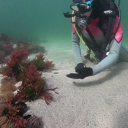 Casinas Marineiras Holiday home Portosin